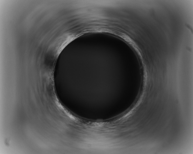 X0000103131385200808221144