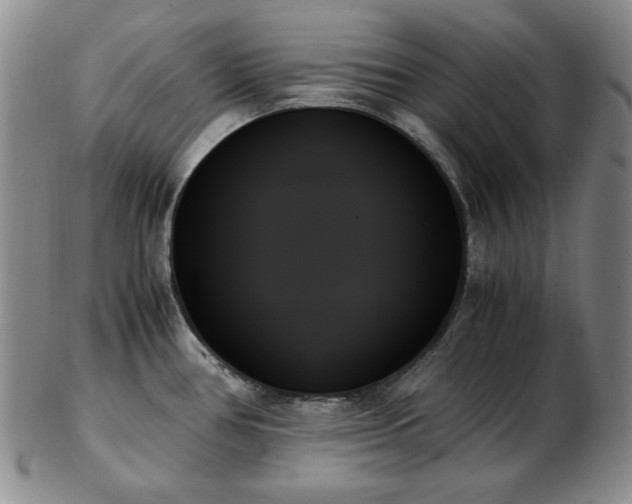 X0000103131386200808221144