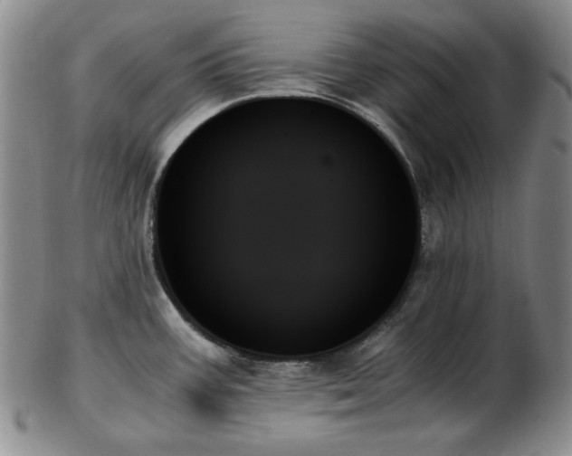 X0000103131387200808221144