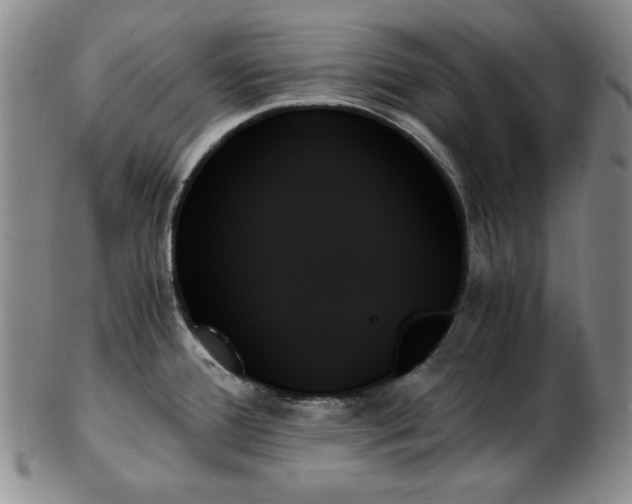 X0000103131388200808221144