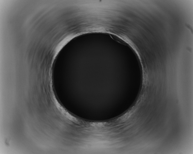 X0000103131389200808221144