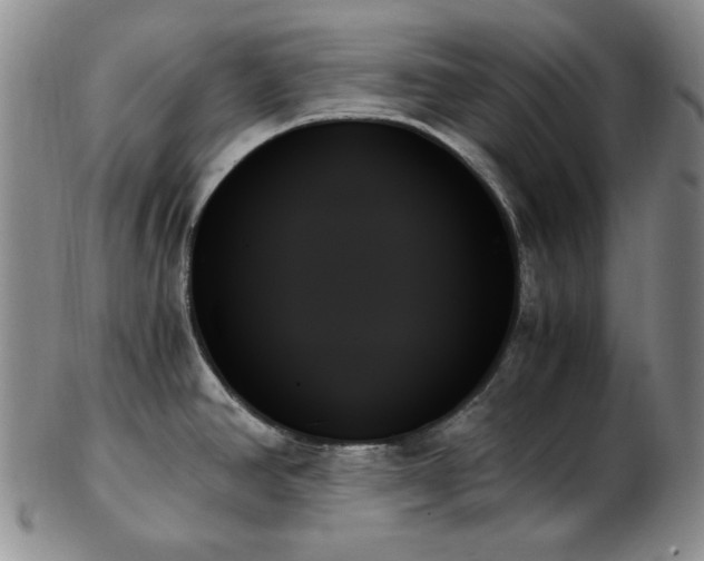 X0000103131390200808221144