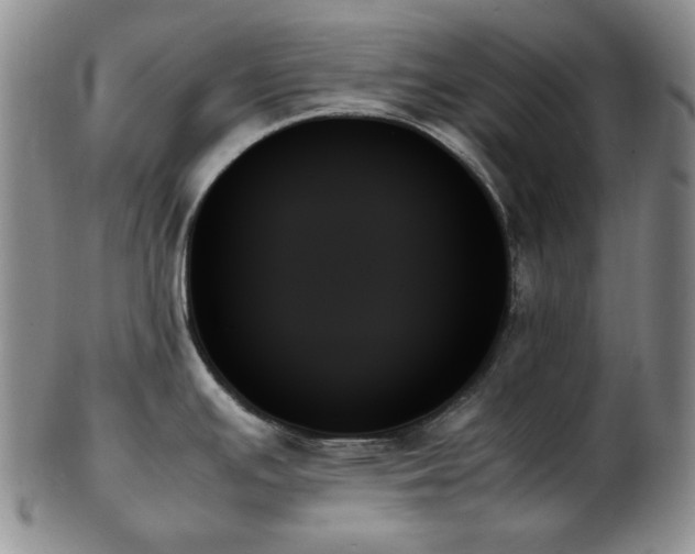 X0000103131391200808221144