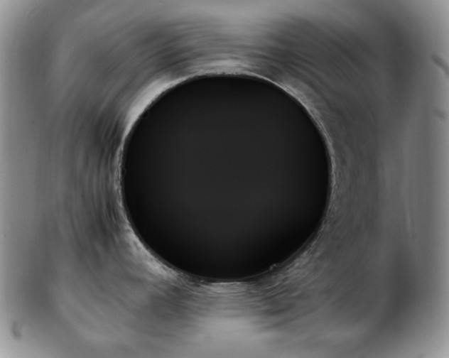 X0000103131392200808221144