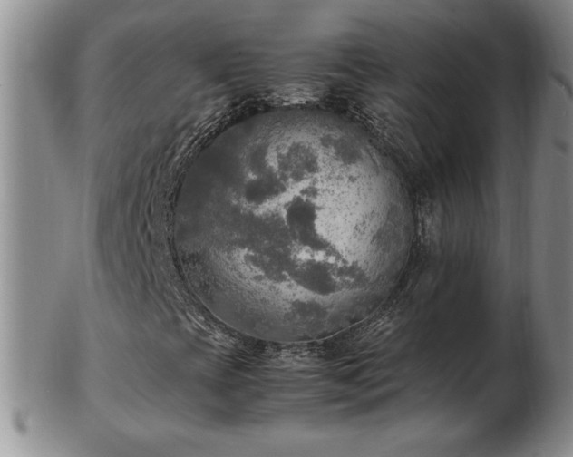 X0000103131393200808221143
