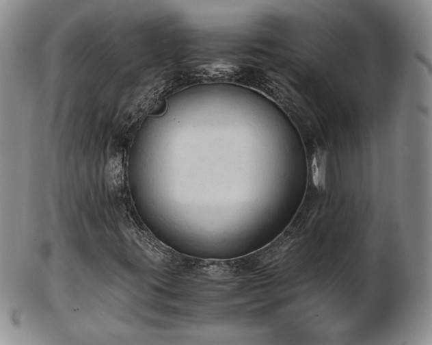 X0000103131395200808221143