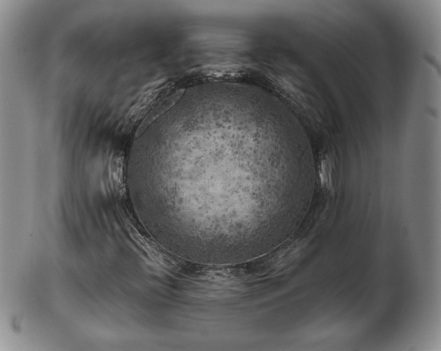 X0000103131396200808221143