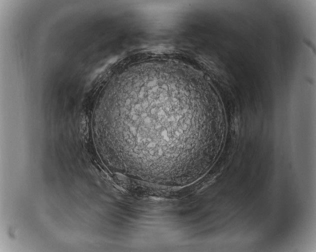X0000103131398200808221143