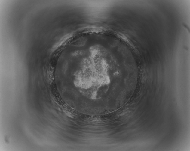 X0000103131399200808221143