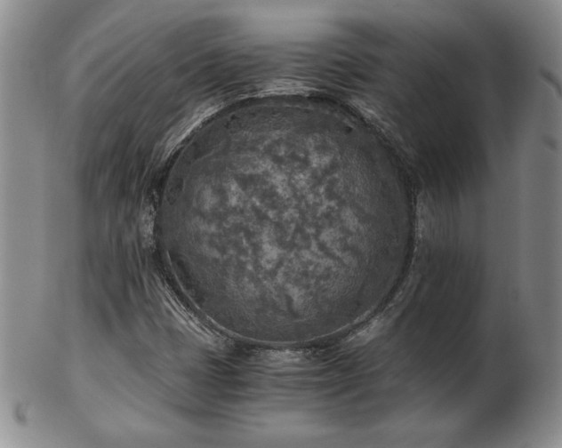 X0000103131401200808221143
