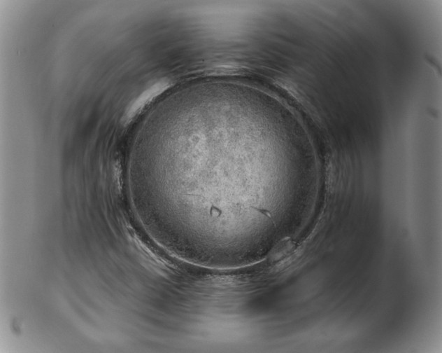 X0000103131402200808221143