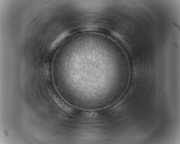 X0000103131403200808221143