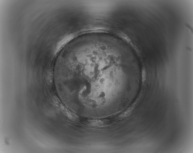 X0000103131405200808221143