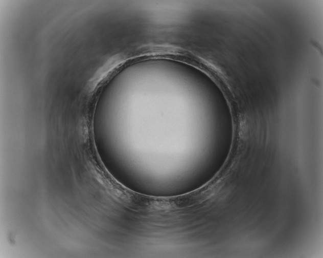X0000103131407200808221143