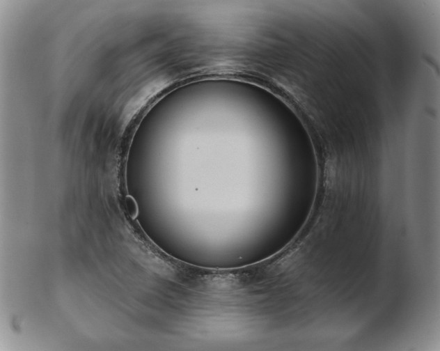 X0000103131410200808221143