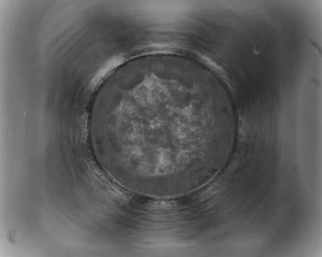 X0000103131411200808221143