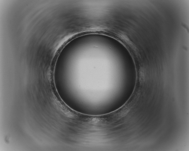 X0000103131412200808221143