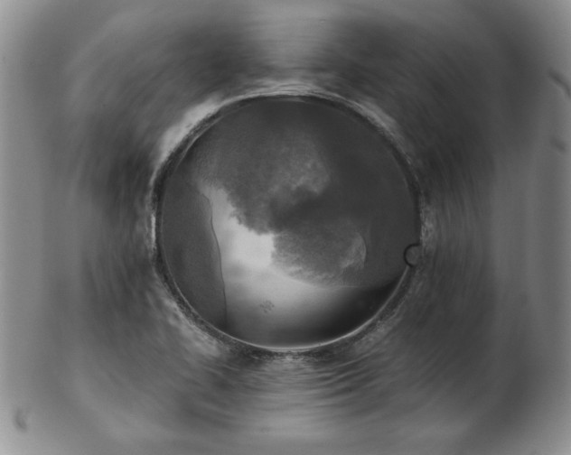 X0000103131414200808221143