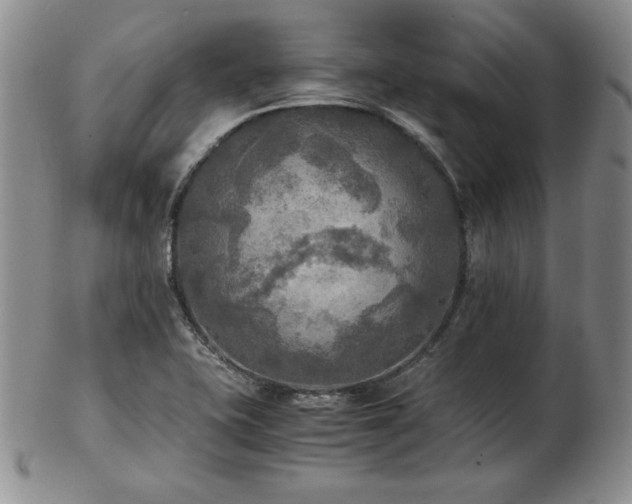 X0000103131415200808221143