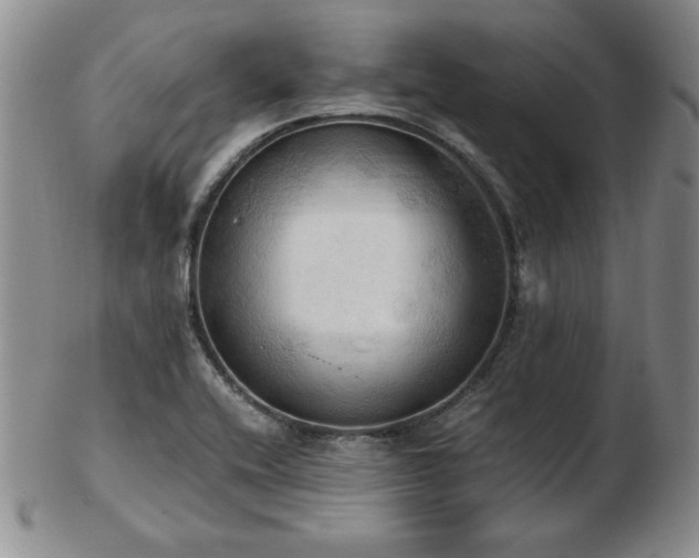X0000103131416200808221143