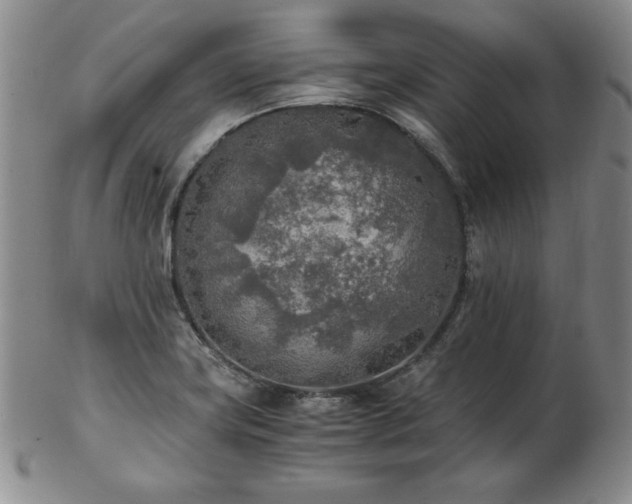 X0000103131419200808221143