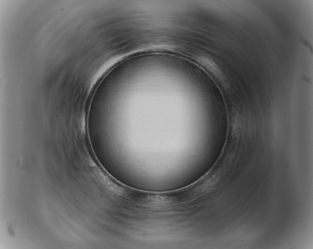 X0000103131420200808221144