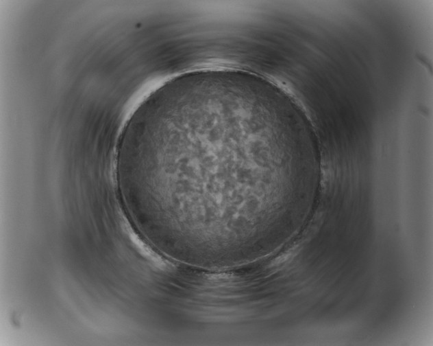 X0000103131421200808221144