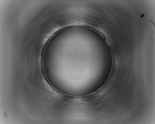 X0000103131422200808221144