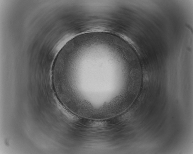 X0000103131423200808221144