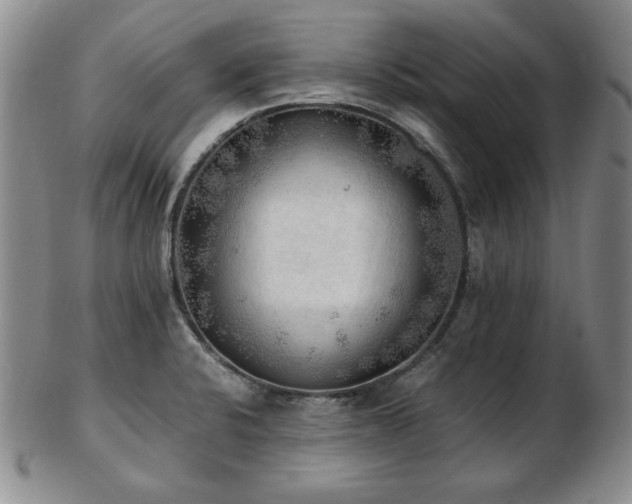 X0000103131424200808221144