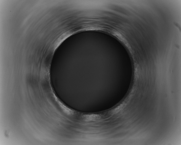 X0000103131425200808221144
