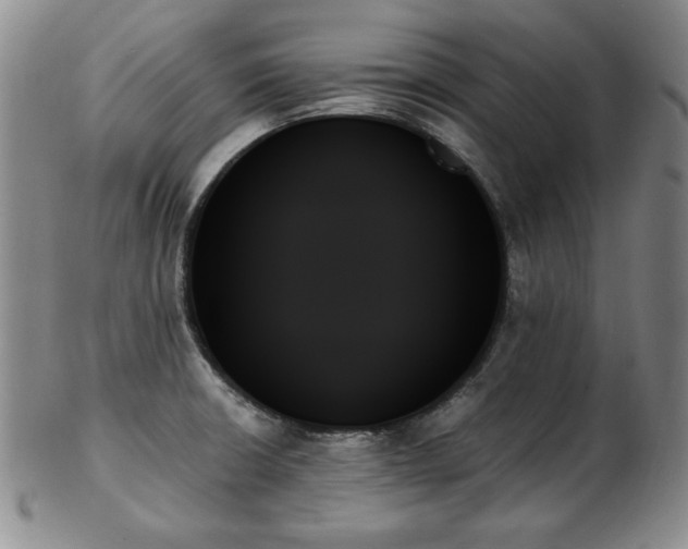 X0000103131426200808221144