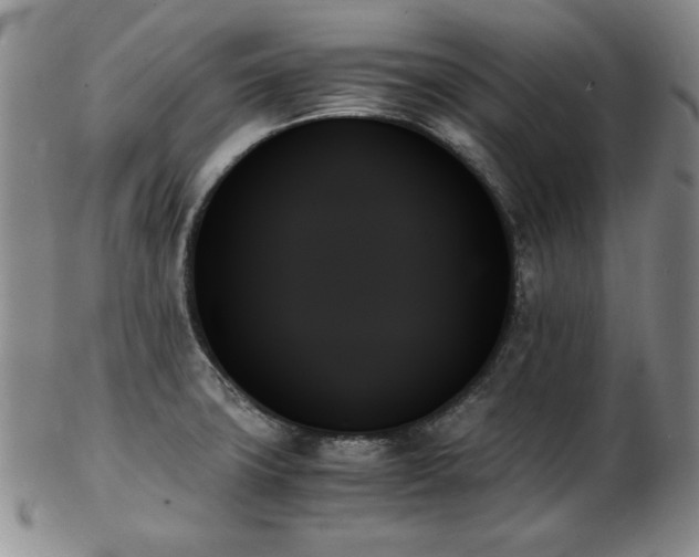 X0000103131427200808221144