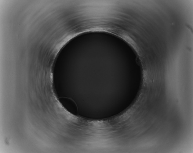X0000103131428200808221144