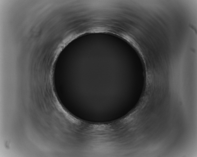 X0000103131429200808221144