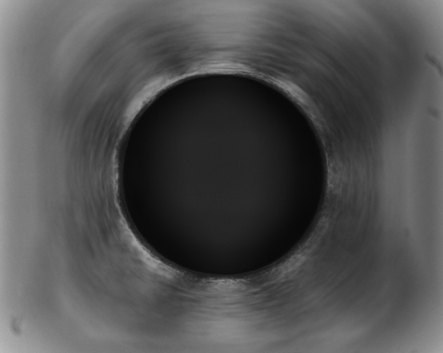 X0000103131430200808221144