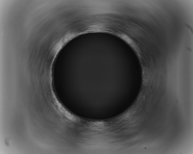 X0000103131431200808221144