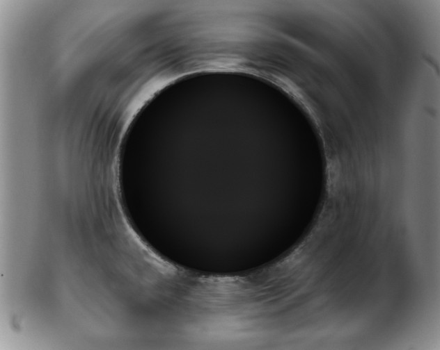 X0000103131432200808221144