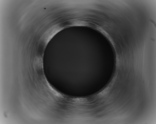 X0000103131433200808221144