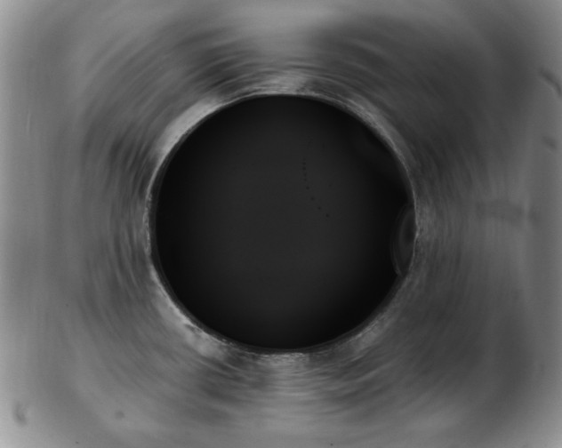 X0000103131434200808221144