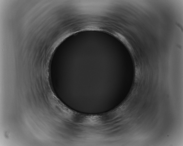X0000103131435200808221144