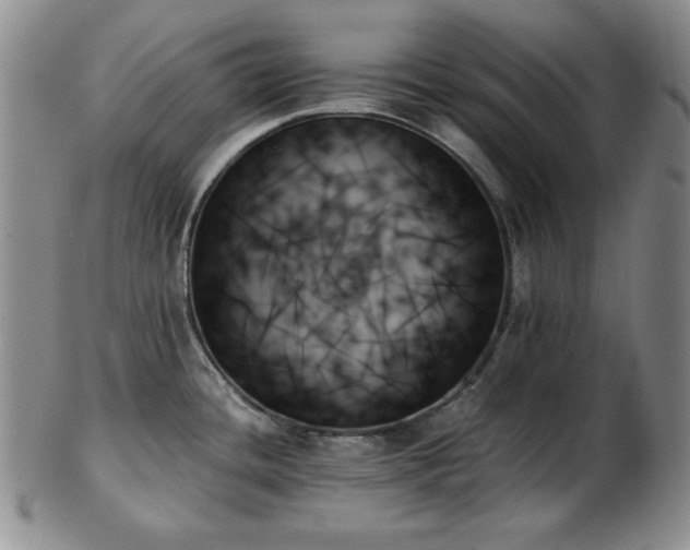 X0000103131436200808221144