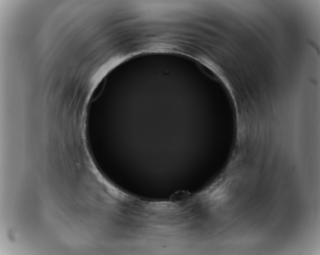 X0000103131437200808221144