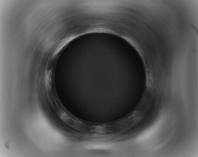 X0000103131438200808221144