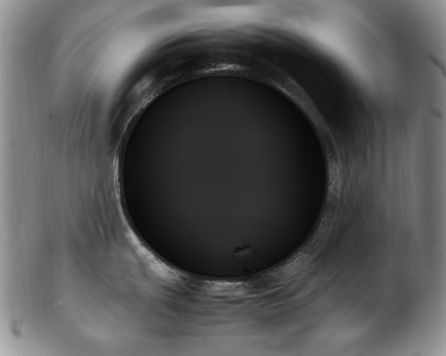 X0000103131439200808221144