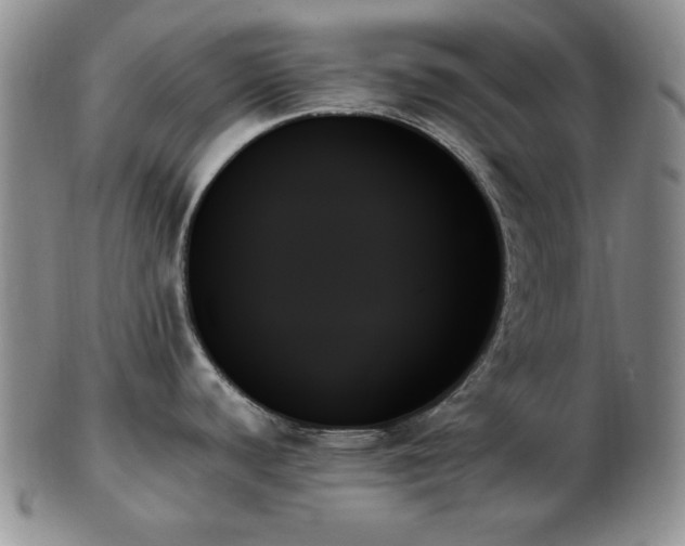 X0000103131440200808221144