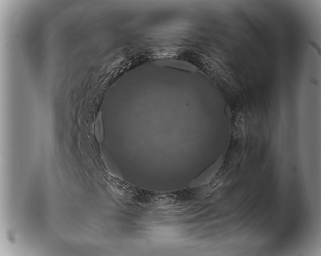 X0000103131441200808221143