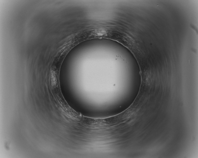 X0000103131442200808221143
