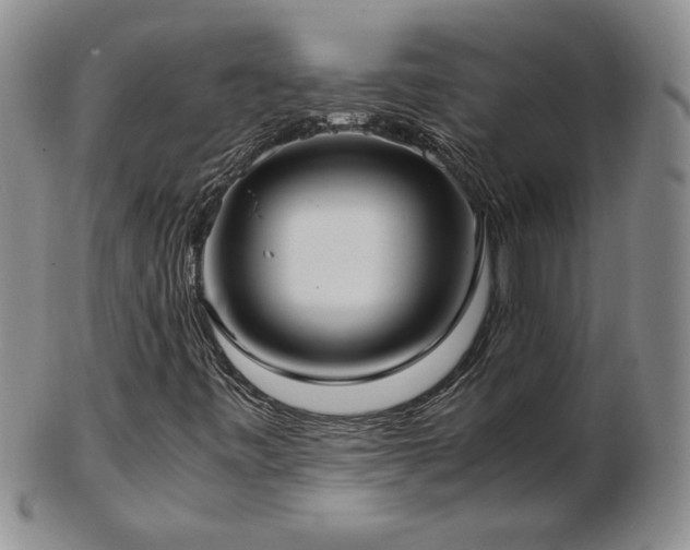 X0000103131443200808221143