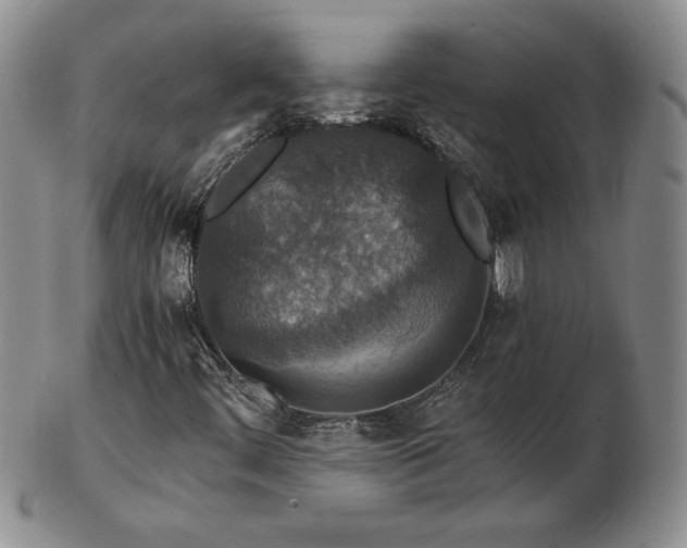 X0000103131444200808221143